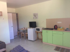 Apartaments on Shmidta 35
